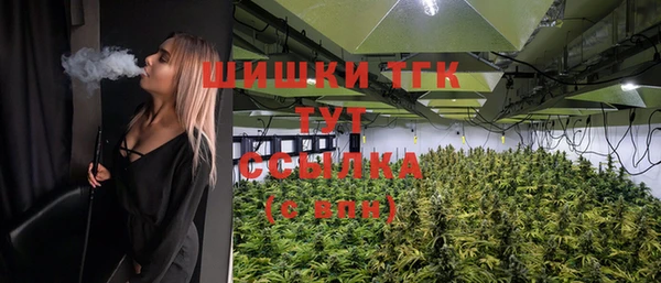 индика Иннополис
