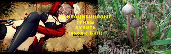 MESCALINE Снежногорск
